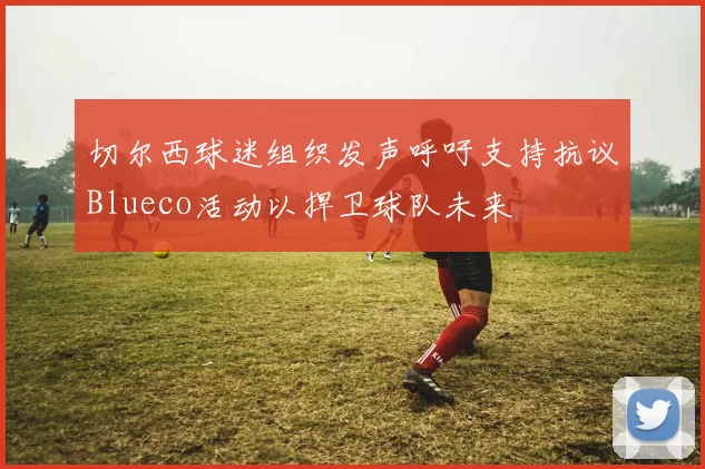 切尔西球迷组织发声呼吁支持抗议Blueco活动以捍卫球队未来