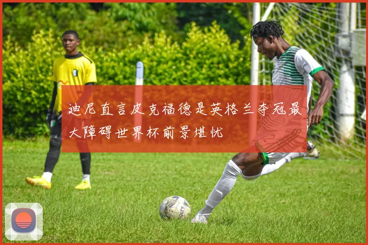 迪尼直言皮克福德是英格兰夺冠最大障碍世界杯前景堪忧